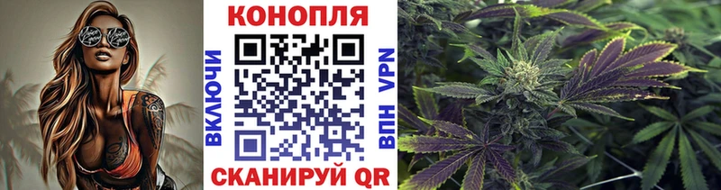 Марихуана AK-47  OMG как войти  Пучеж 